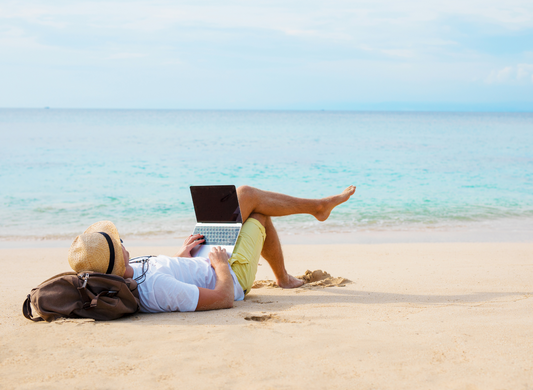 digital nomad visa type-d